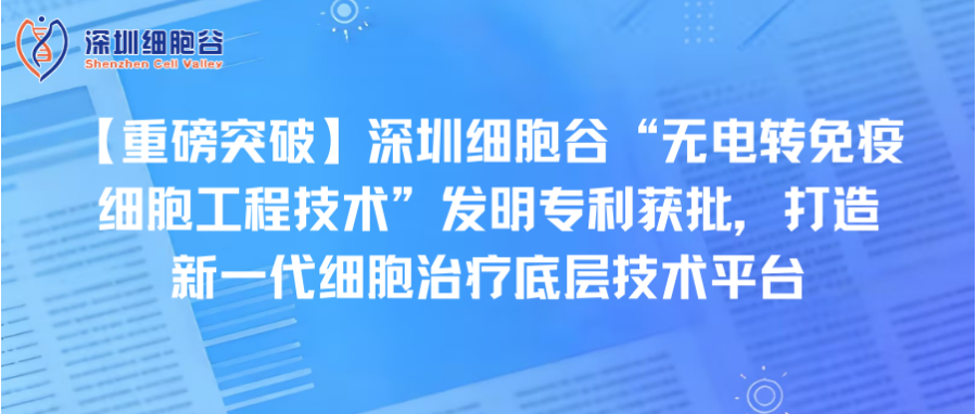 【重磅突破】深圳K8凯发(中国)“无电转免疫细胞工程技术”发明专利获批，打造新一代细胞治疗底层技术平台