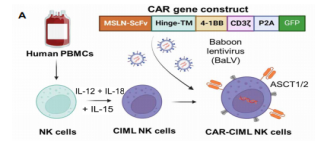 1775812834.png 图片.png