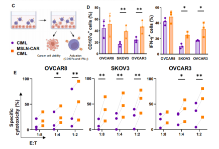 1775812844.png 图片.png